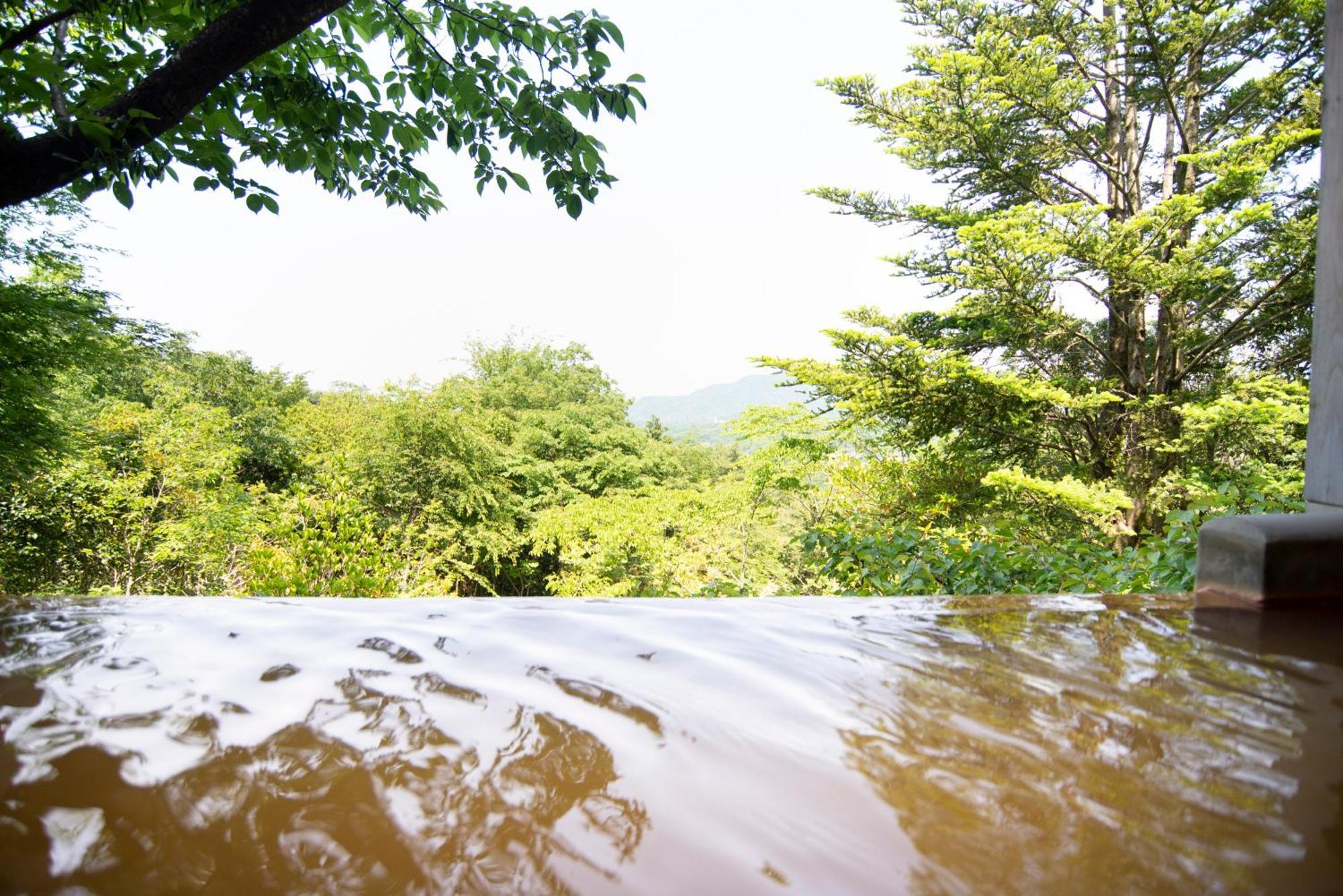 Arima Onsen Motoyu Ryuusenkaku Hotel Kobe Phòng bức ảnh