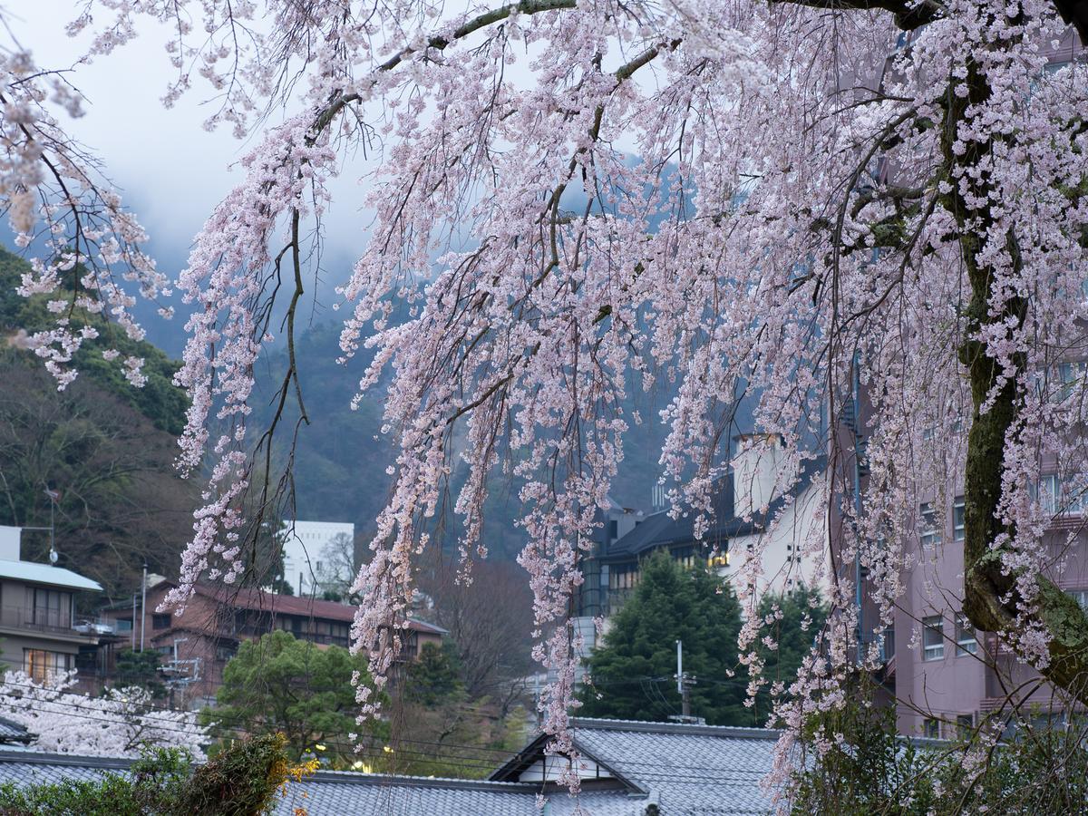 Arima Onsen Motoyu Ryuusenkaku Hotel Kobe Ngoại thất bức ảnh