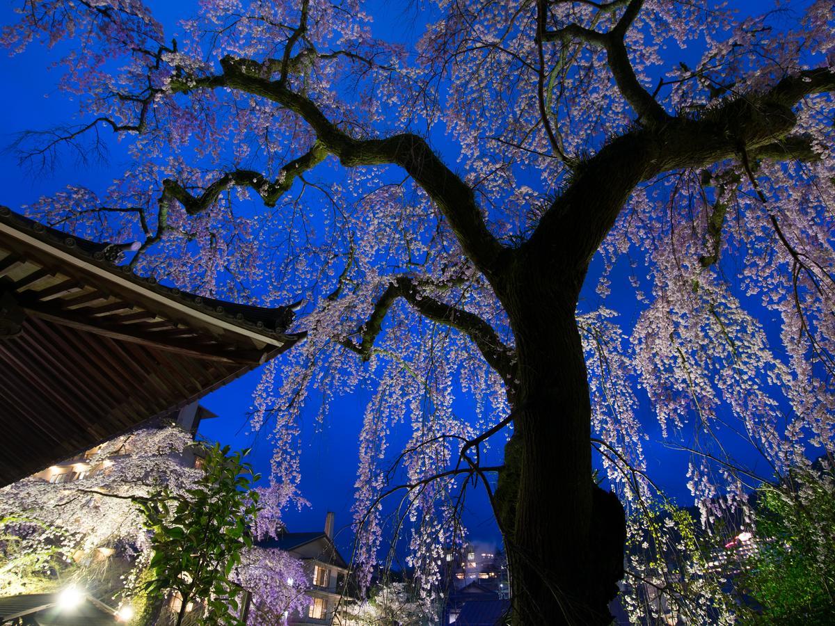 Arima Onsen Motoyu Ryuusenkaku Hotel Kobe Ngoại thất bức ảnh